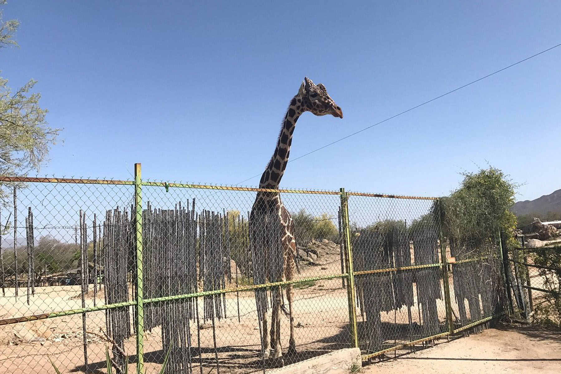 Empire State Building